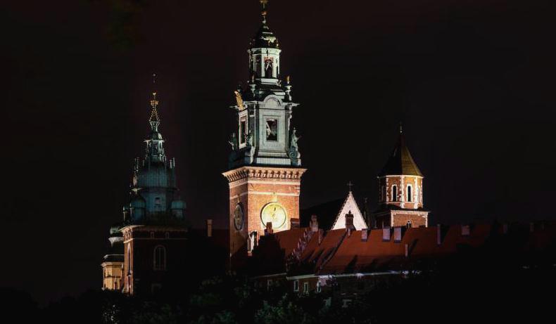 Wawel night photo