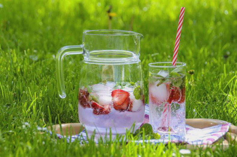 Błonia w Krakowie – kto powiedział, że nie można spędzić czasu na łonie natury w sercu miasta