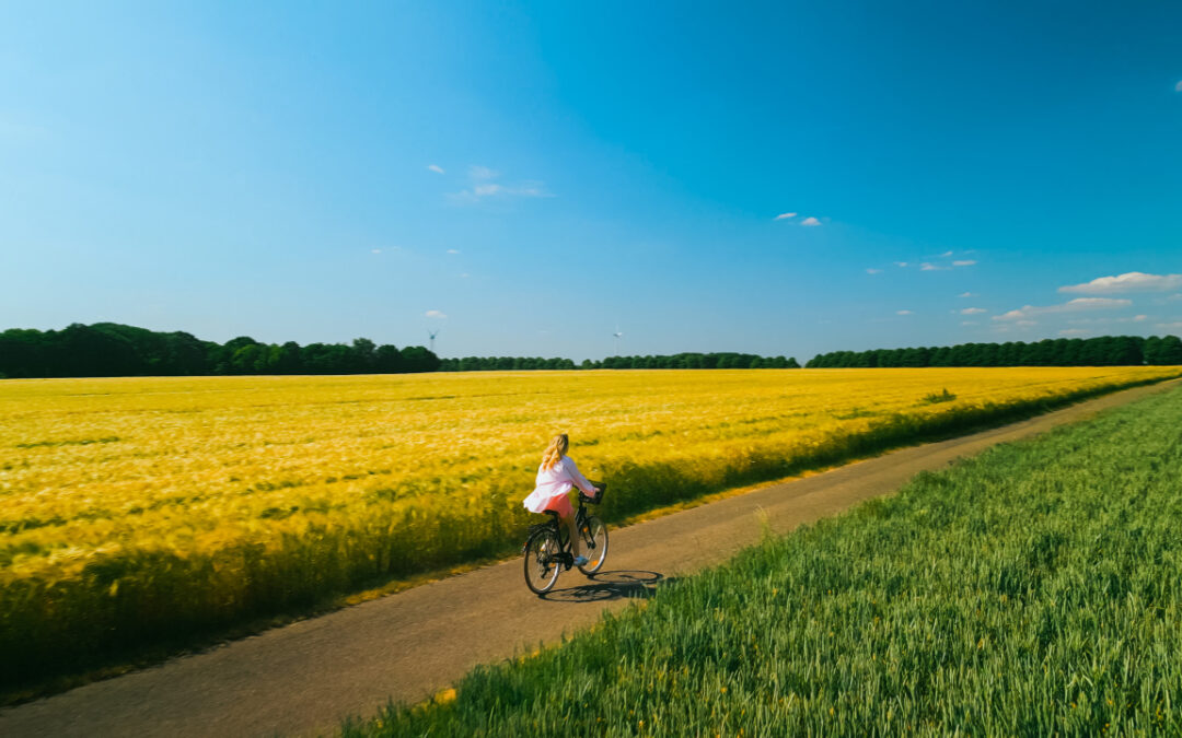 7 tras rowerowych wokół Krakowa, które idealnie sprawdzą się na weekend